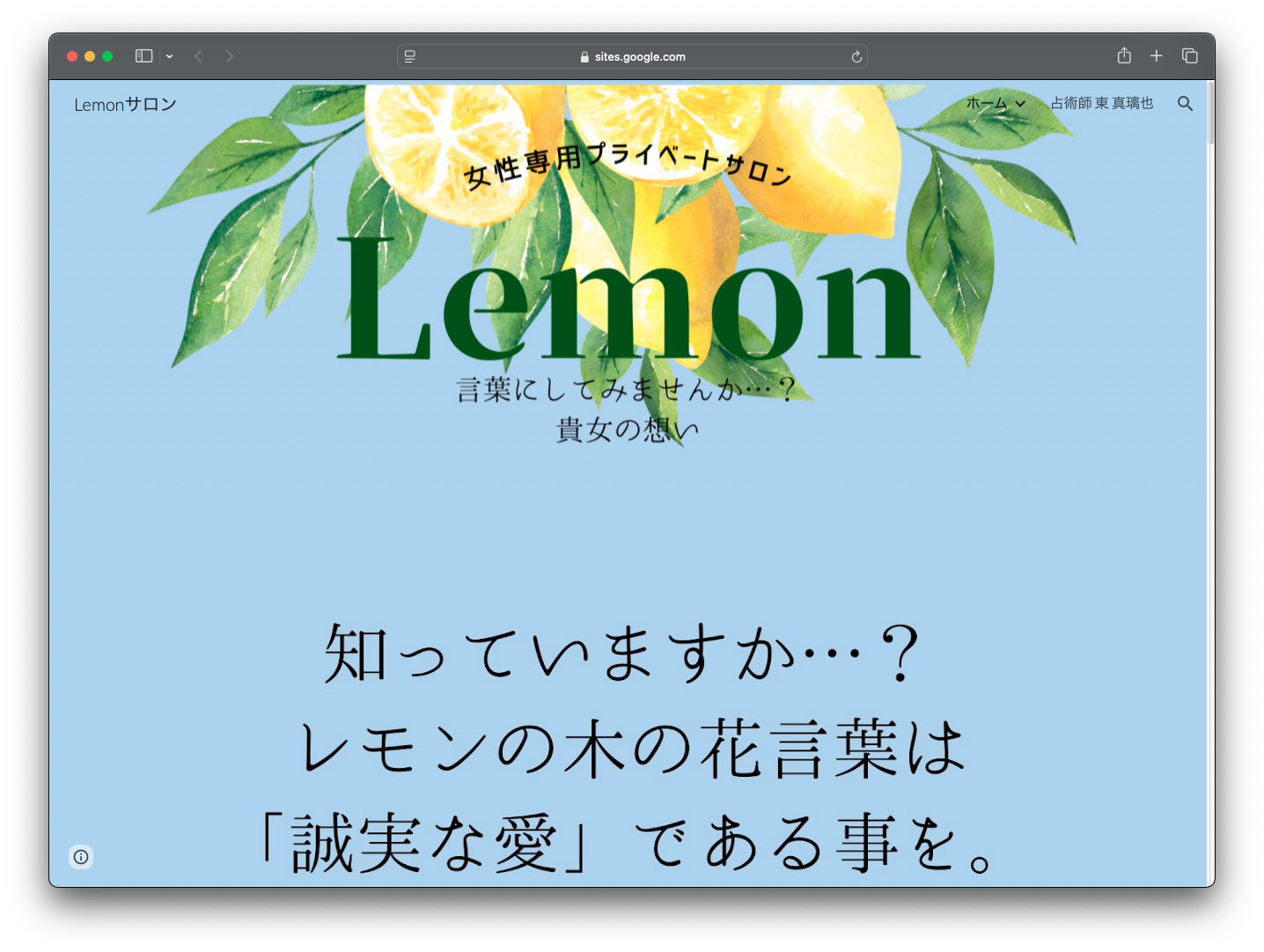 ホームページ施工例 | Infini Tec Wave LLC